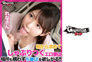 302GERK-295 Renasan