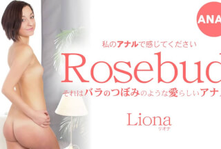 Kin8tengoku 金8天国 3398 それはバラのつぼみのような愛らしいアナル Rosebud Liona / リオナ