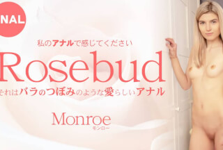 Kin8tengoku 3433 Rosebud / Monroe