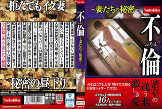 NASH-540 Affair Furin-Secrets Of Wives-