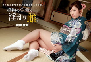 1Pondo 010822_001 Kimono Slut: Ayane Sakurai