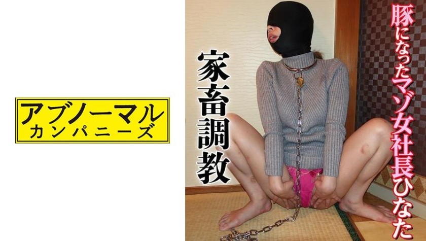 481SACZ-012 Hinata 3