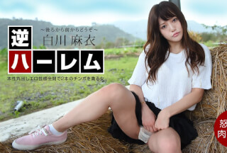 1Pondo 040222_001 Reverse Harem: Please From The Back To The Front! Mai Shirakawa