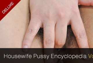 Pacopacomama 042622_636 Married Pussy Encyclopedia, 142 Deluxe Edition  Noriko MasakiJunko AraiHitomi Yoneda