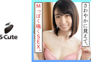 229SCUTE-1210 Mai (23) S-Cute Black-Haired Beautiful Girl’s Innocent Etch (Mai Kagari)