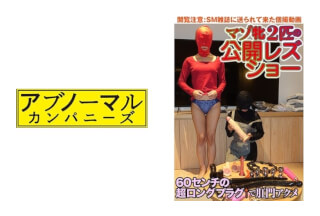 481SACZ-131 Keiko 10