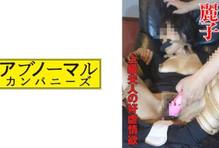 481SACZ-230 Reiko 2