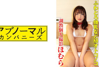 481SACZ-339 ほむら 2