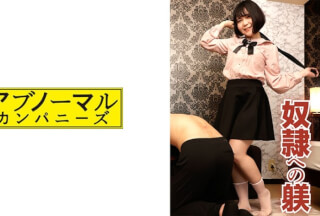 481SACZ-369 Yuzu 4