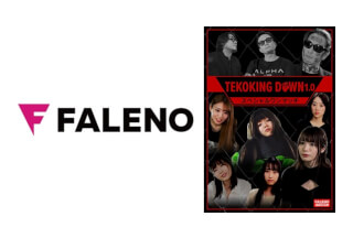 406FTHT-185 Tekoking Down 1.0