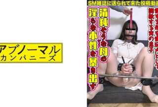 481SACZ-433 マゾ母陽子 1