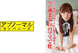 481SACZ-441 Chibitori 12