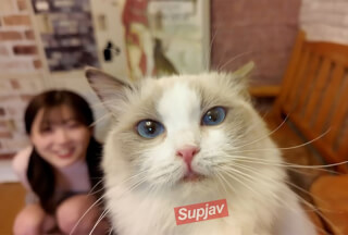 FC2PPV 4511406 9日まで1490pt\!!!　※可愛すぎ超レア　　猫カフェデートで猫にメロメロ「可愛い..」、デート後俺のムスコにも夢中だったのは二人だけの内緒