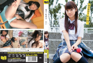 UPSM-105 Transfer Student Rei Compensated Dating