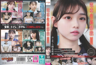 YDNS-001 火车性惩罚#001