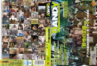 [Reducing Mosaic]DANDY-462 Wild Kingdom Vol.3 Africa’s Oldest Natives And Live Do Natsume Airi