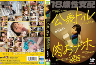 [モザイク破壊]SDAB-341 SNSで出会ったクズ男にハマった結果、公衆トイレでさくっとヌくための肉おナホ要員にされた18歳の記録映像。最終的に都合のいいように扱われ続けて涙目になるまでマワしつくされる。 寺川ねね
