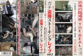 [Reducing Mosaic]LOVE-049 Damn Voyeur Stalking Re Vol.2