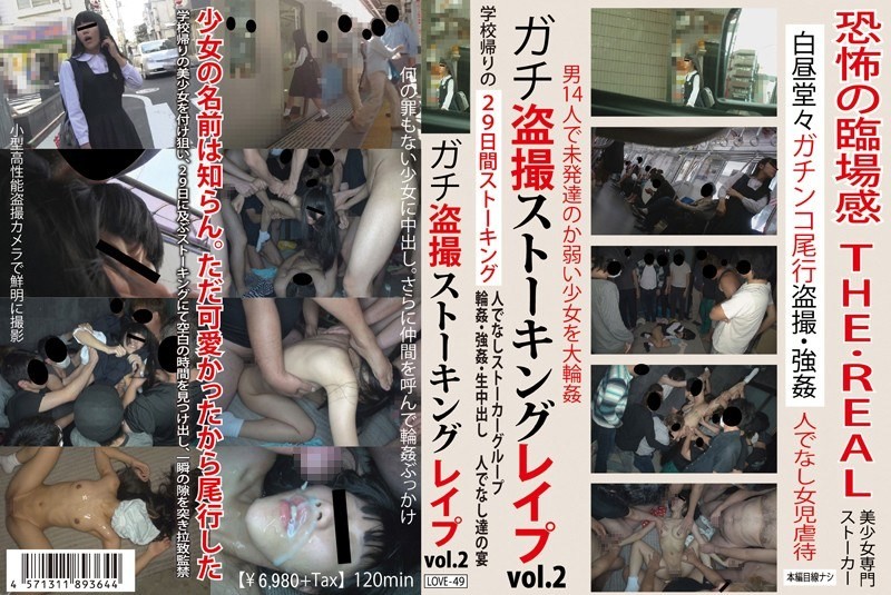 LOVE-049 重口味偷窥、跟踪和强 第二卷 (LOVE-49)