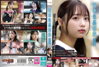 [Reducing Mosaic]YDNS-009 Train Re Punishment #009